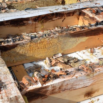 This photo shows mould damage on a wooden floor structure